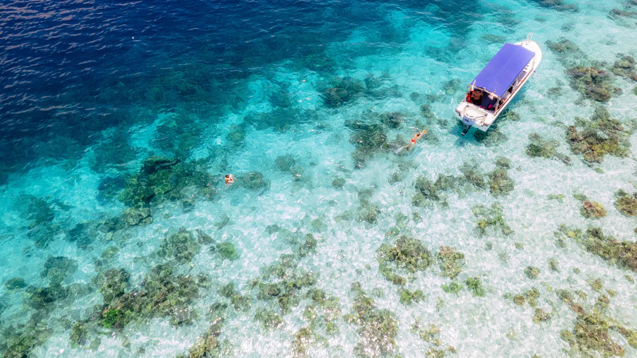 Snorkelling and diving Semporna Malaysia