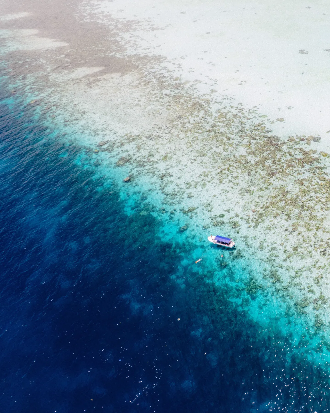 Aerial boat at the reef drop-off Semporna